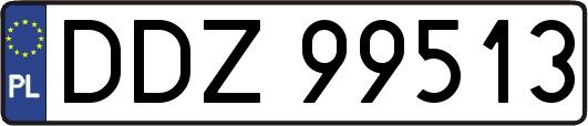 DDZ99513