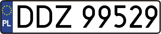 DDZ99529