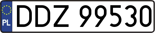 DDZ99530