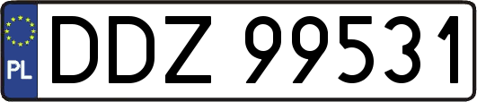 DDZ99531