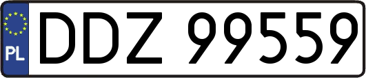 DDZ99559