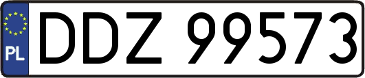 DDZ99573
