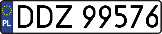 DDZ99576
