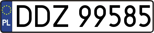 DDZ99585