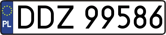 DDZ99586