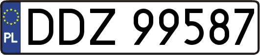 DDZ99587