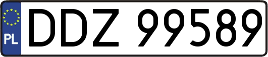 DDZ99589