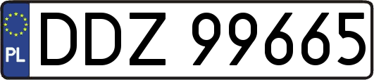 DDZ99665