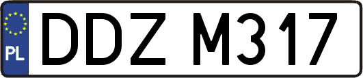 DDZM317
