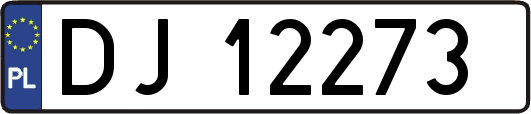 DJ12273