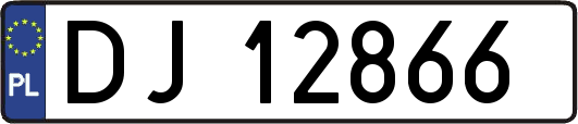 DJ12866