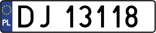 DJ13118
