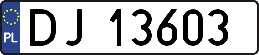 DJ13603