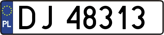 DJ48313