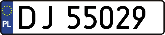 DJ55029