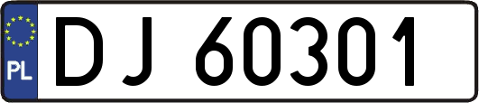 DJ60301