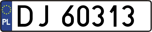 DJ60313