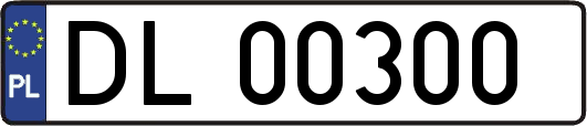 DL00300