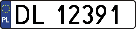 DL12391