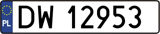 DW12953