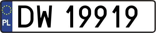 DW19919