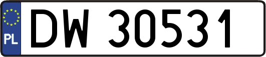 DW30531