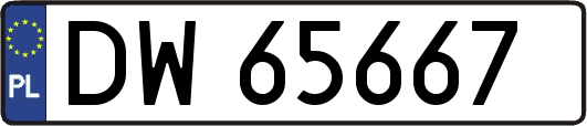 DW65667