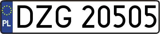 DZG20505