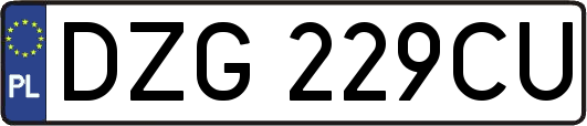 DZG229CU