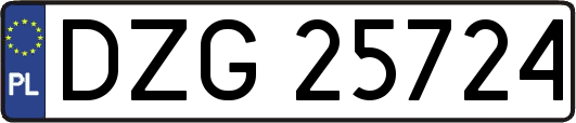 DZG25724