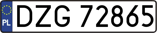 DZG72865