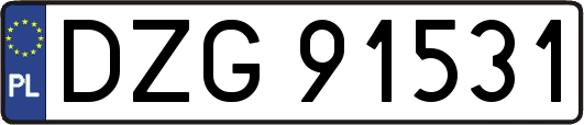 DZG91531
