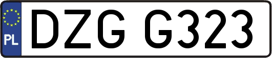 DZGG323