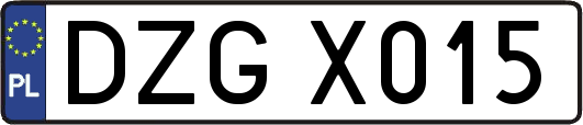 DZGX015