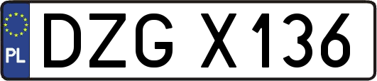 DZGX136