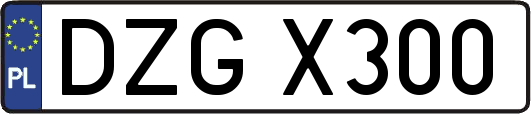 DZGX300