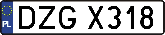 DZGX318