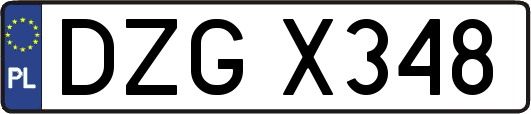 DZGX348
