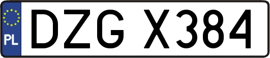 DZGX384