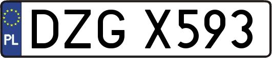 DZGX593