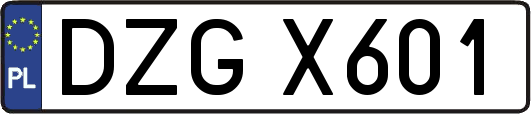 DZGX601