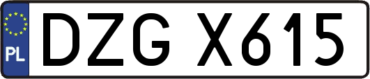 DZGX615