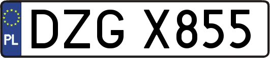 DZGX855