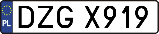 DZGX919