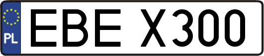 EBEX300