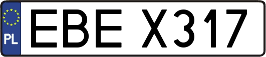 EBEX317