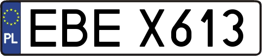 EBEX613