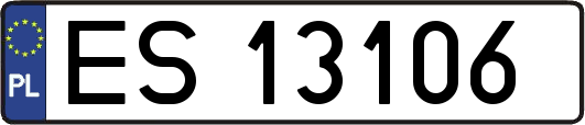 ES13106