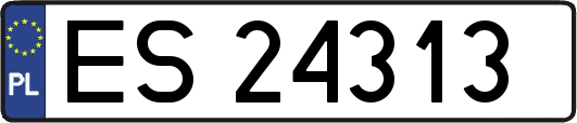 ES24313