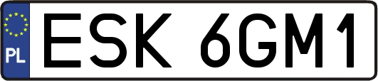 ESK6GM1
